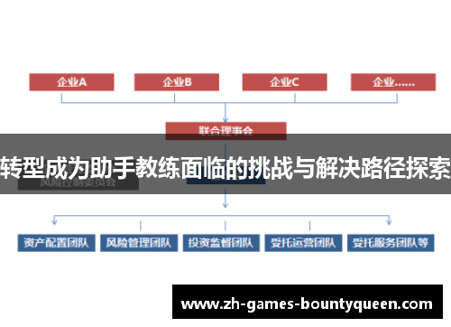 转型成为助手教练面临的挑战与解决路径探索